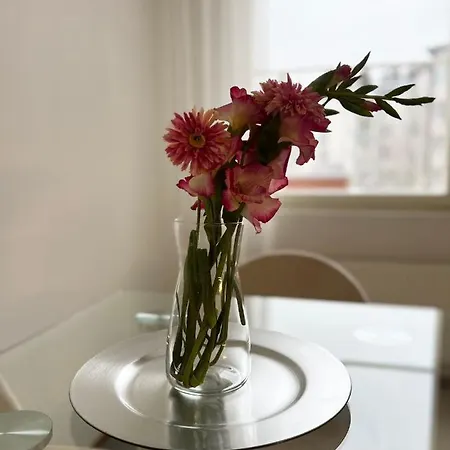 Apartment Star Of Annala