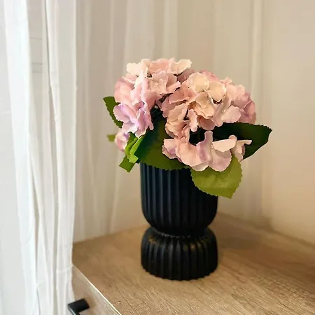 Star Of Annala Apartment