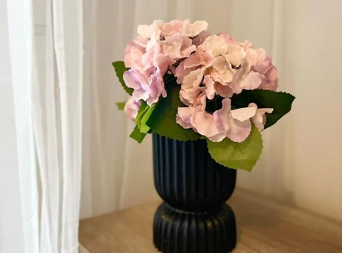 Star Of Annala Apartment